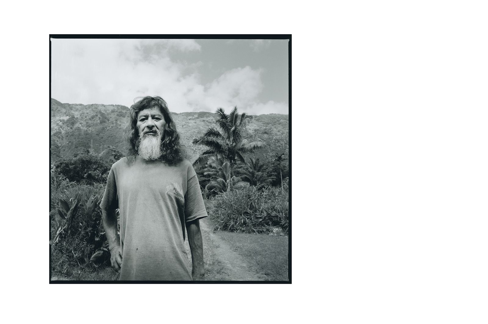 NEWLIVEBOOKS-Waipio.jpg