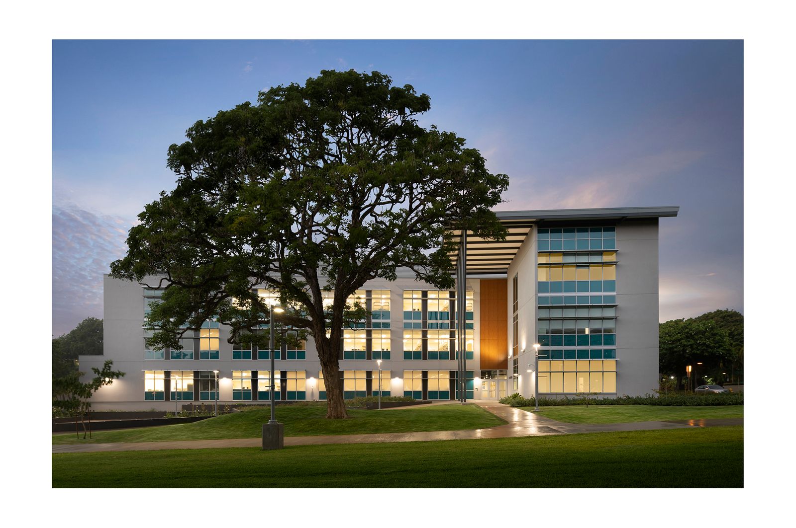 Livebooks-UHLifeSciences.jpg