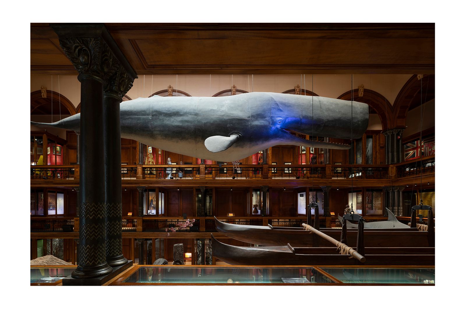 Livebooks-BishopMuseum.jpg