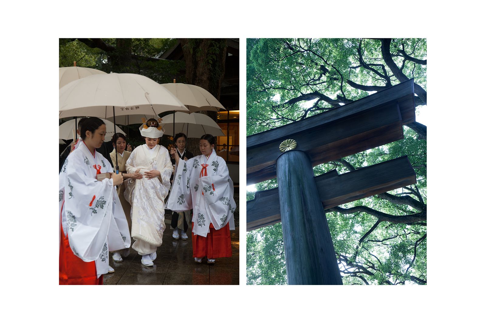 LIVEBOOKS-MeijiShrine.jpg