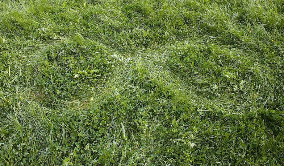 Energy Trace VIII, 56 Calorie Infite Trace, 2008.