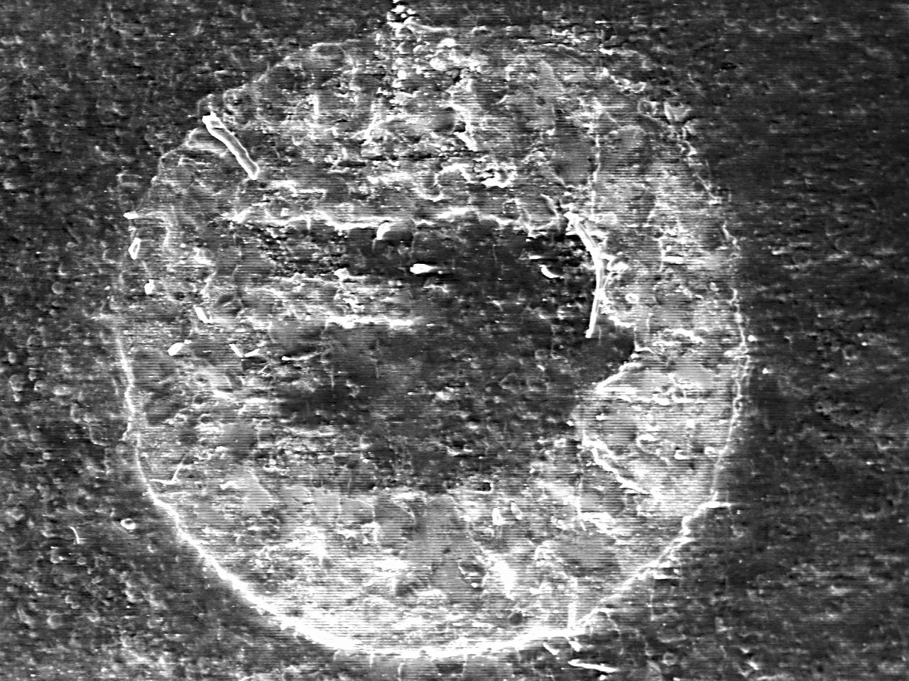 20 Mexican Pesos Bill