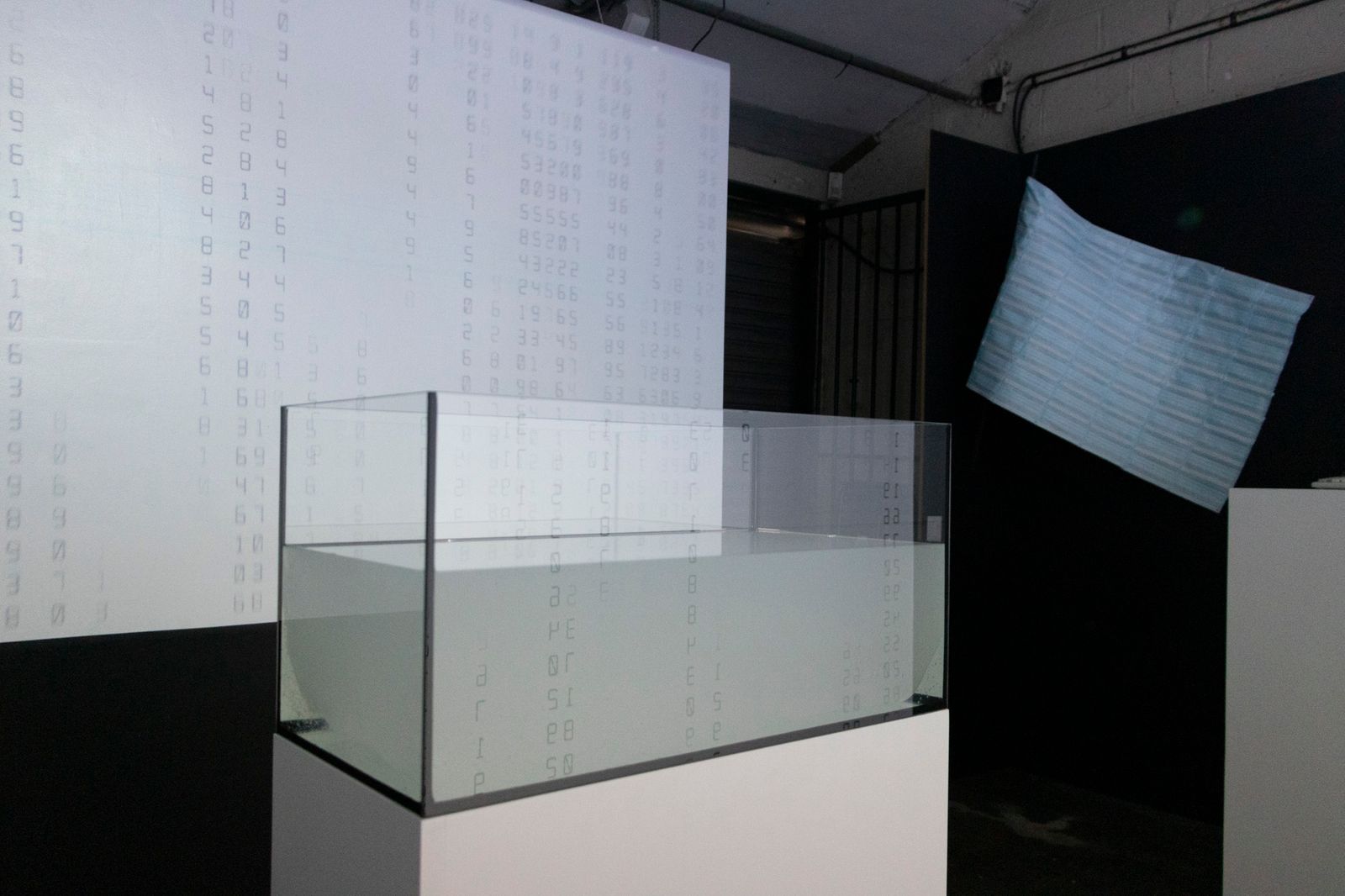 Back Reign of numbers, Front Financial liquidity, antibacterial gel in tank,  2021, video installation, digital videos , 2021.