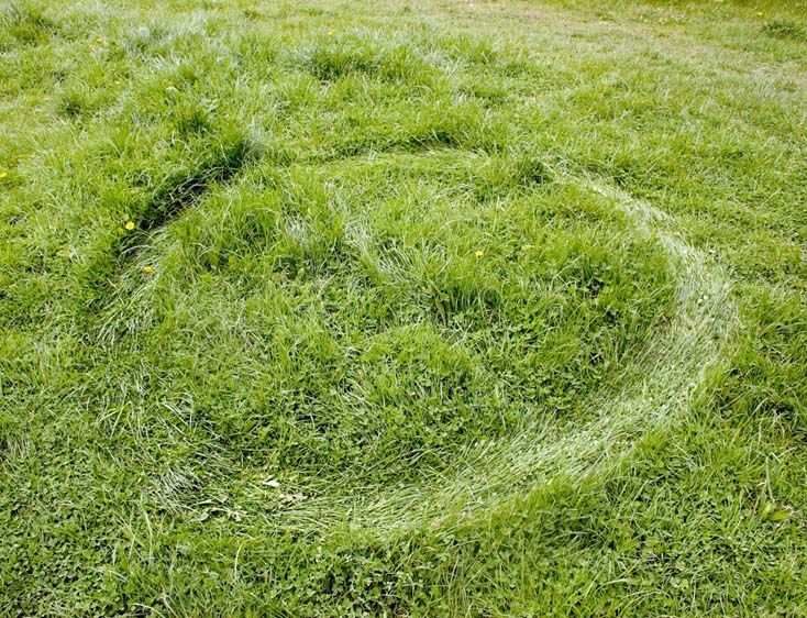 Energy Trace, 227 Calorie Circle, 2009.