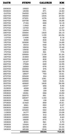 One Million Steps for a Piece of Art.