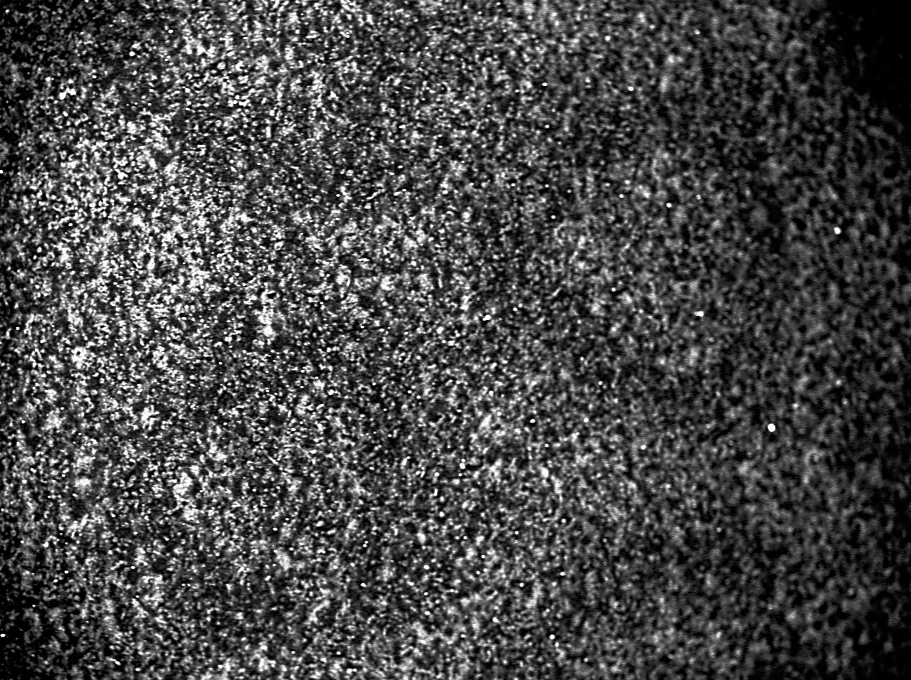 20 Mexican Pesos Bill