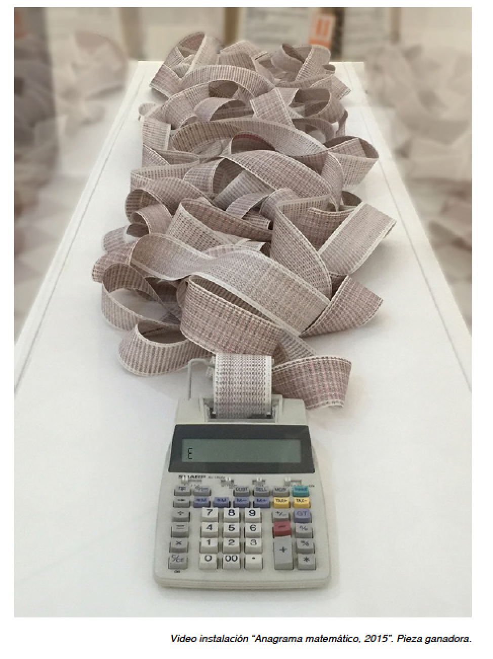 Mathematical Anagram,  Video Installation