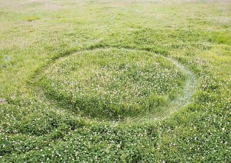 Energy Trace, 421 Calorie Circle, 2009.