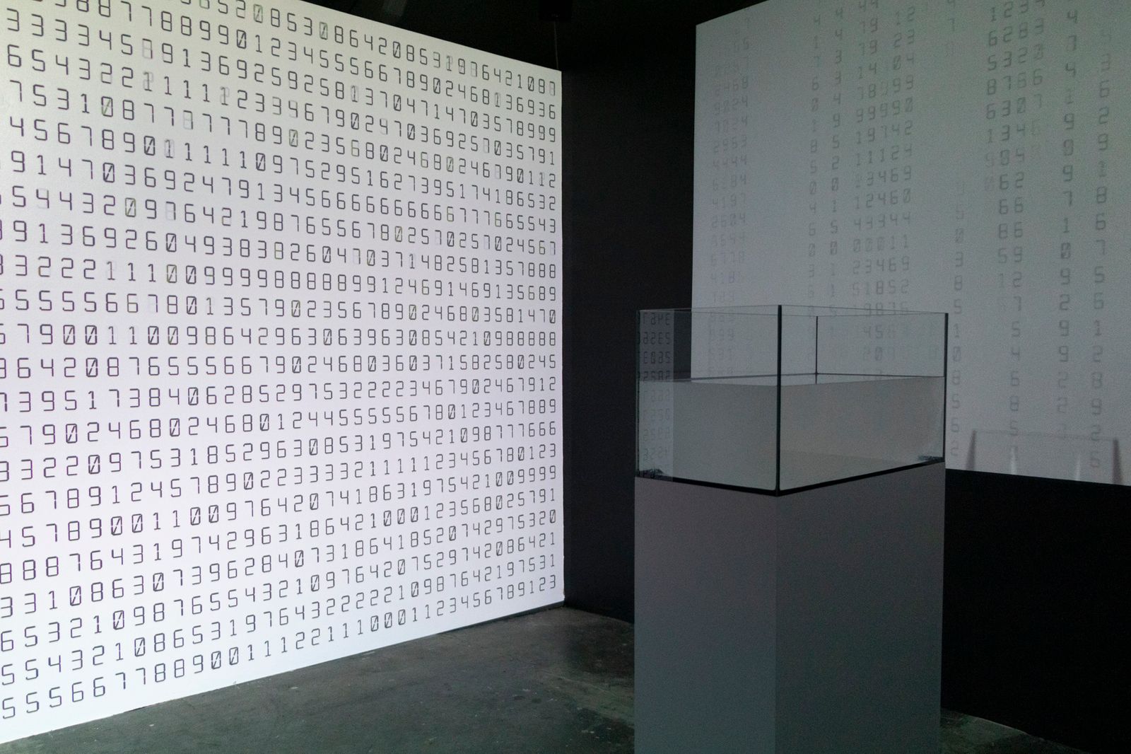 Back Reign of numbers, Front Financial liquidity, antibacterial gel in tank,  2021, video installation, digital videos , 2021.