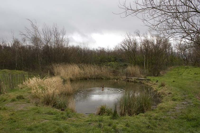 Jesus Re-born, London, 2008