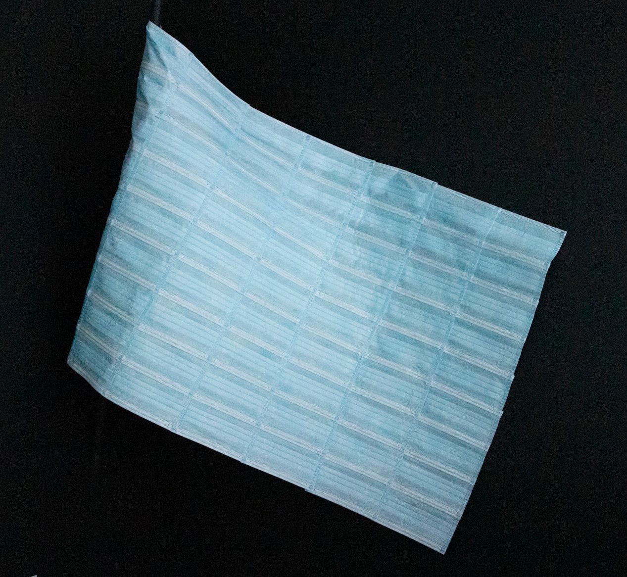 Pandemic Flag