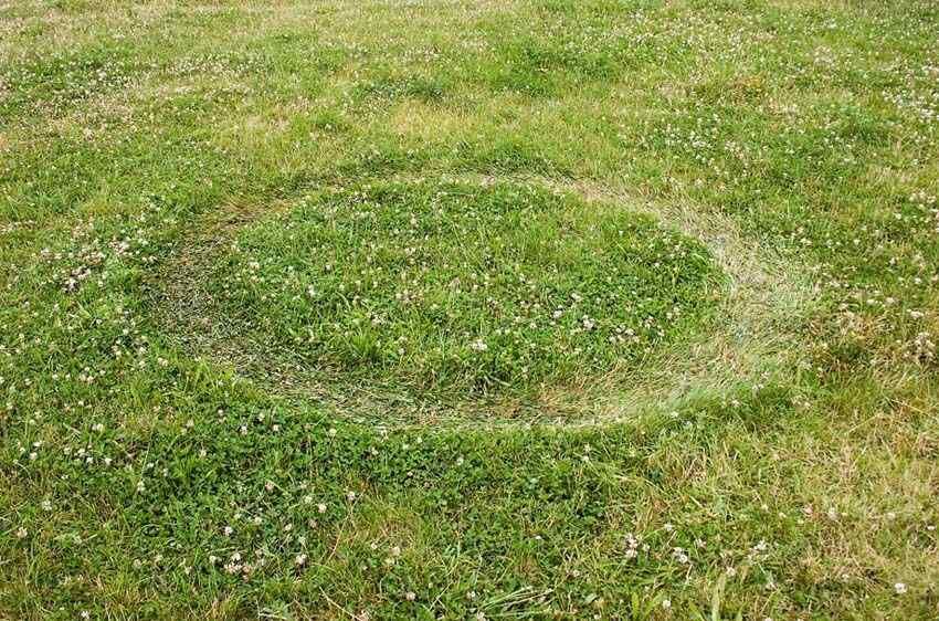 Energy Trace, 621 Calorie Circle, 2007.