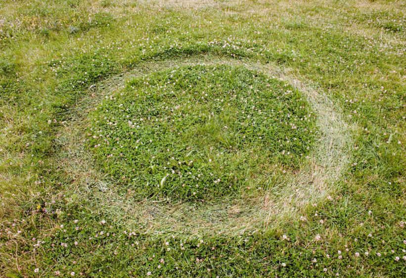 Energy Trace, 621 Calorie Circle, 2007