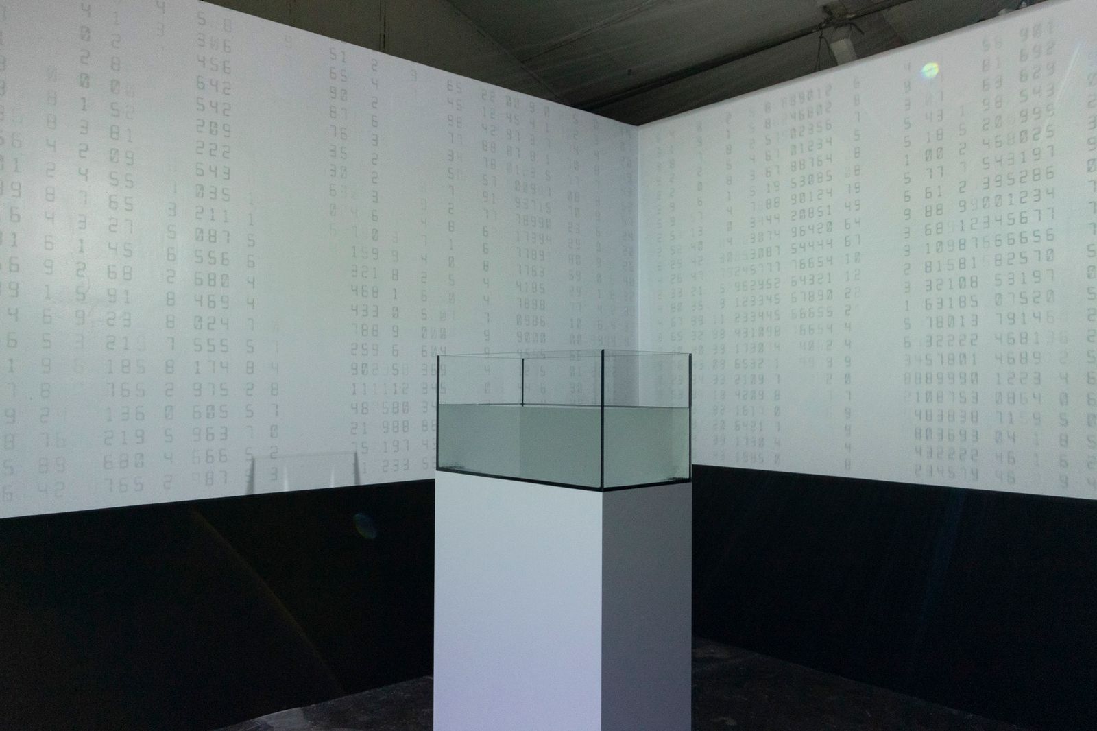 Back Reign of numbers, Front Financial liquidity, antibacterial gel in tank,  2021, video installation, digital videos , 2021.