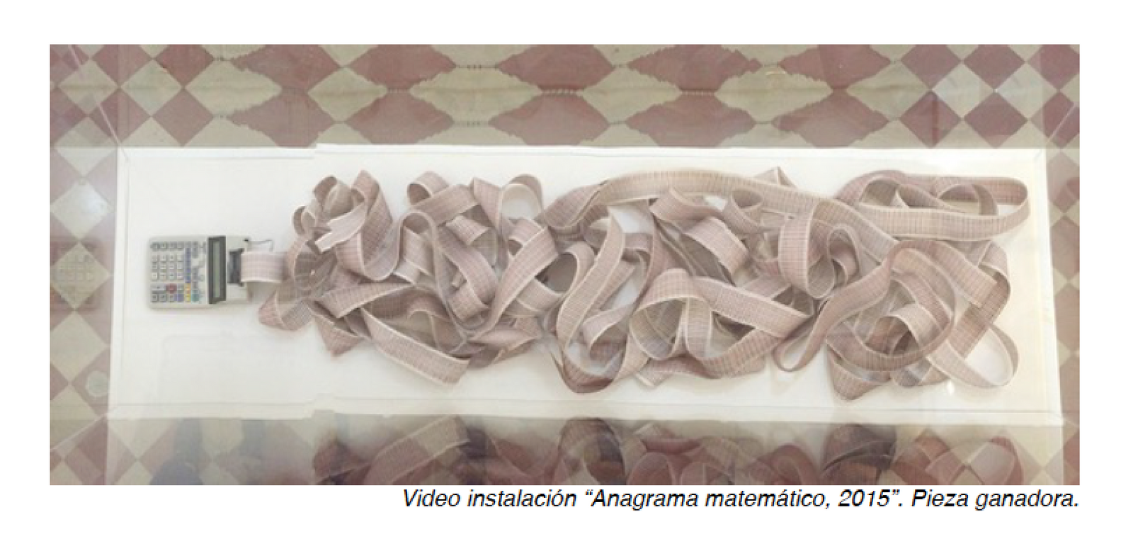 Mathematical Anagram, Video Installation