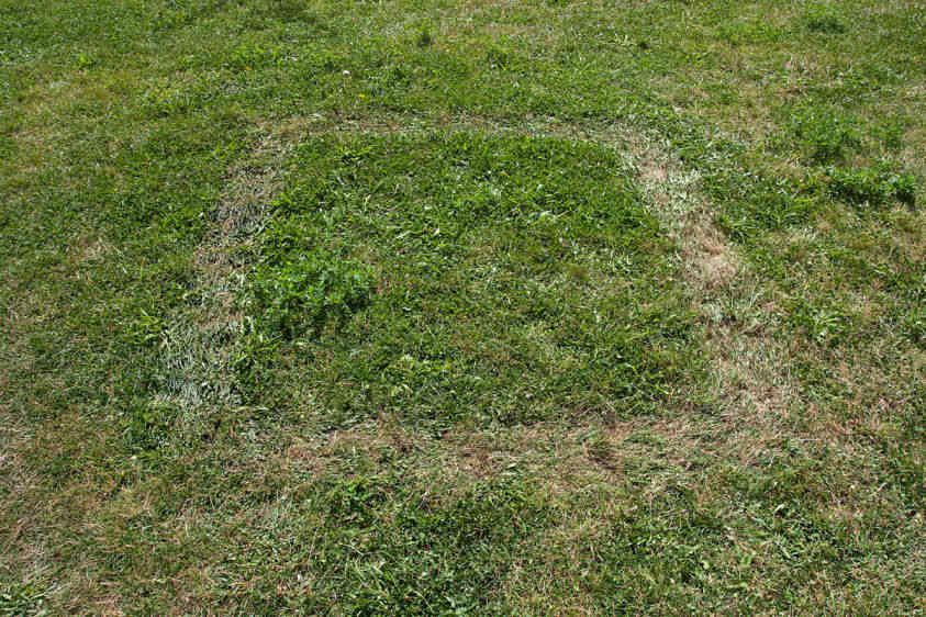 Energy Trace III, 603 Calorie Square 2007.