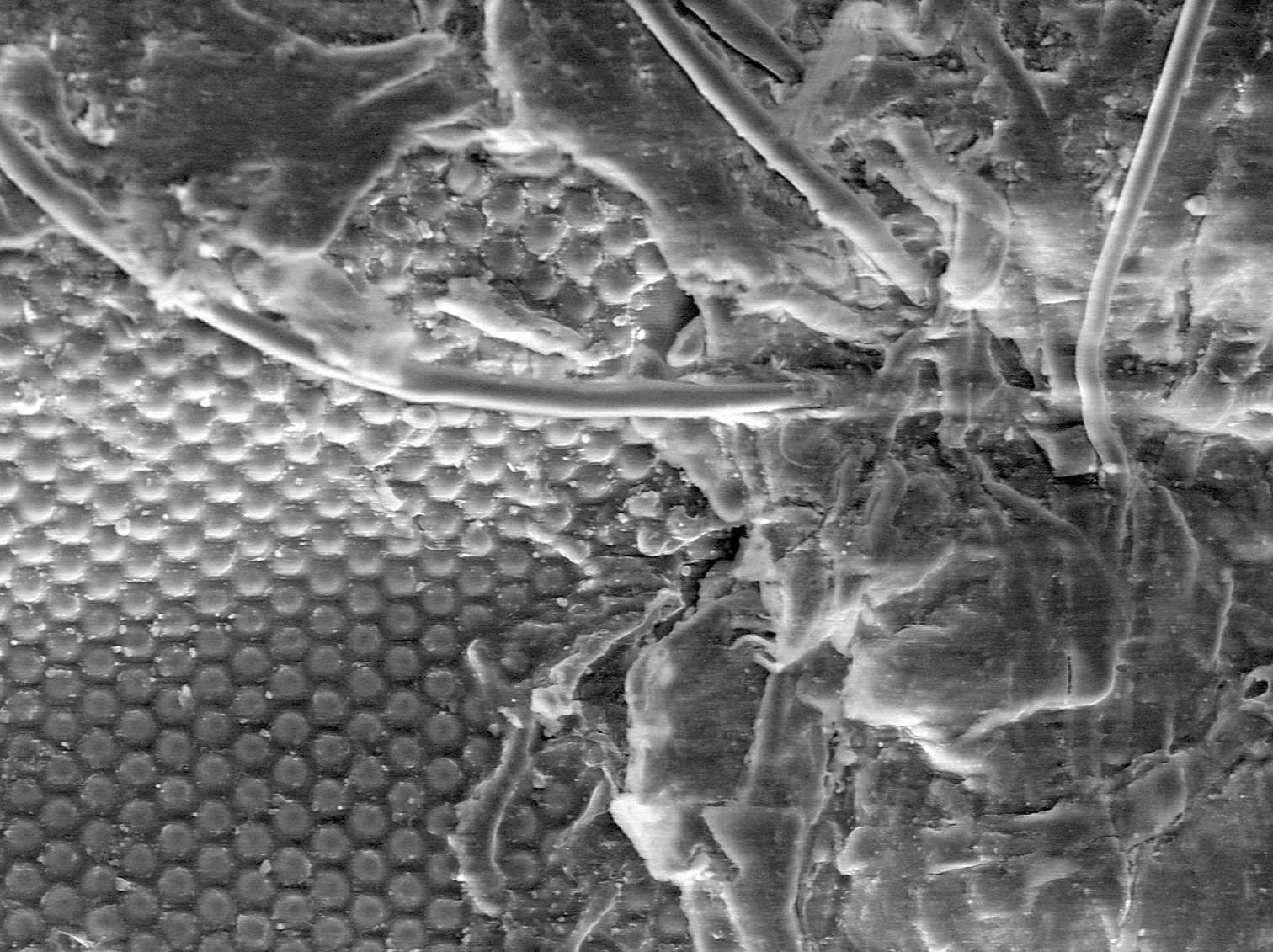 100 Mexican Pesos Bill