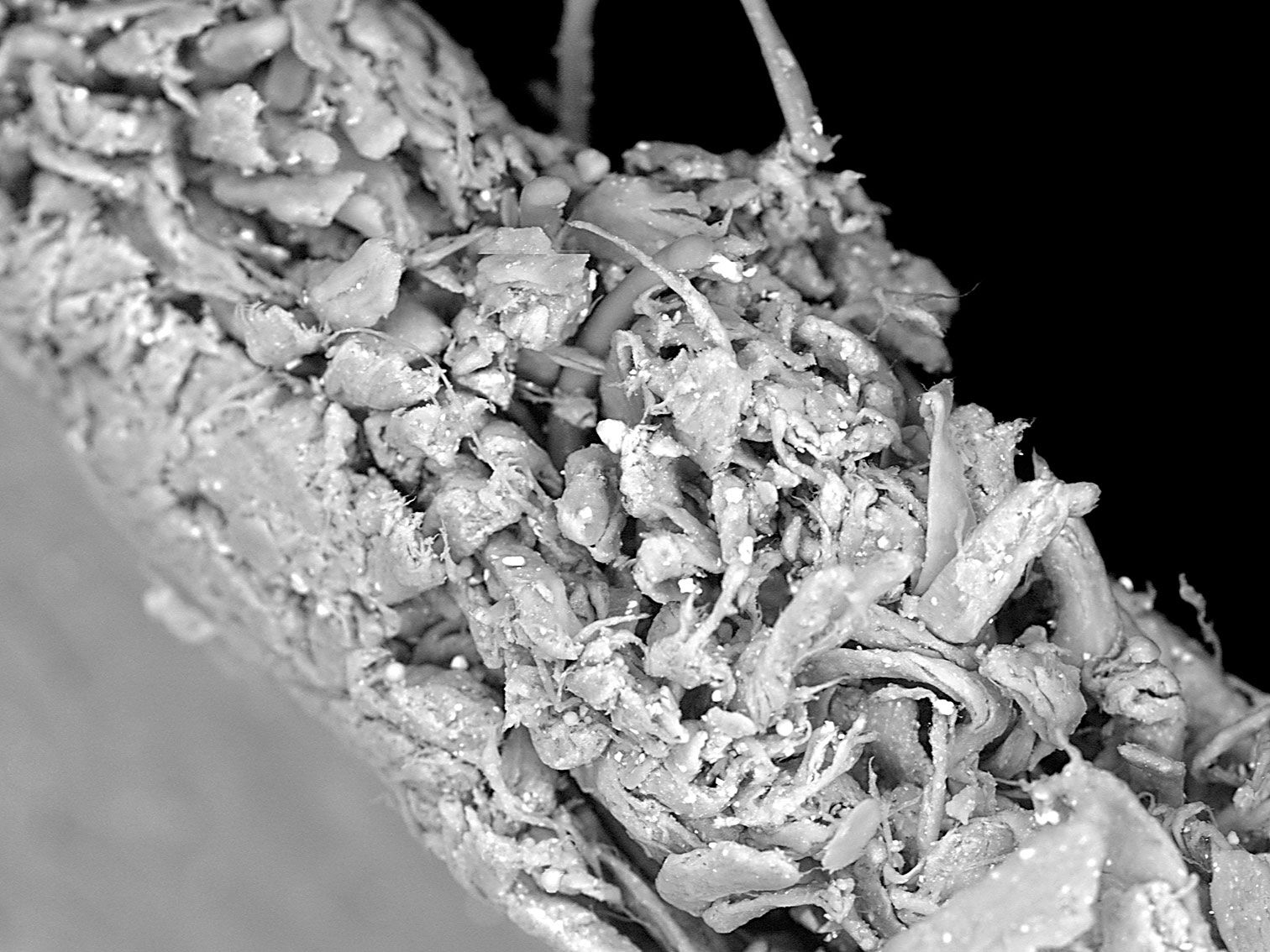 100 Mexican Pesos Bill