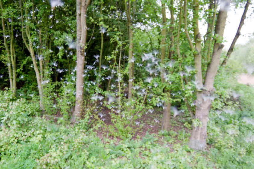 Blow up, Southwark, London, 2011.