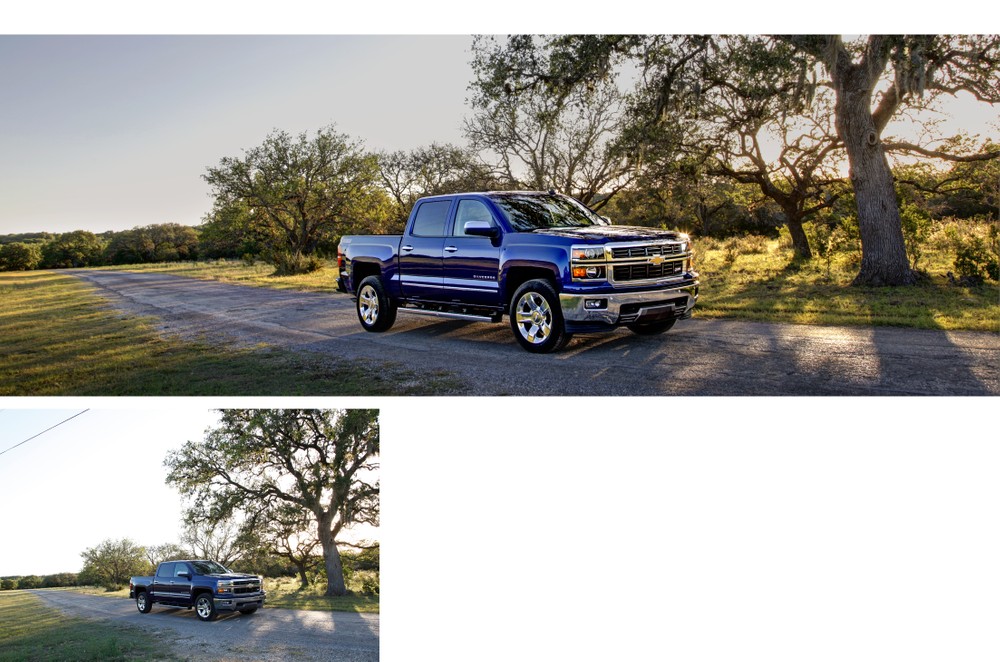 _MG_1263_5_8_fused 2 larger.jpg