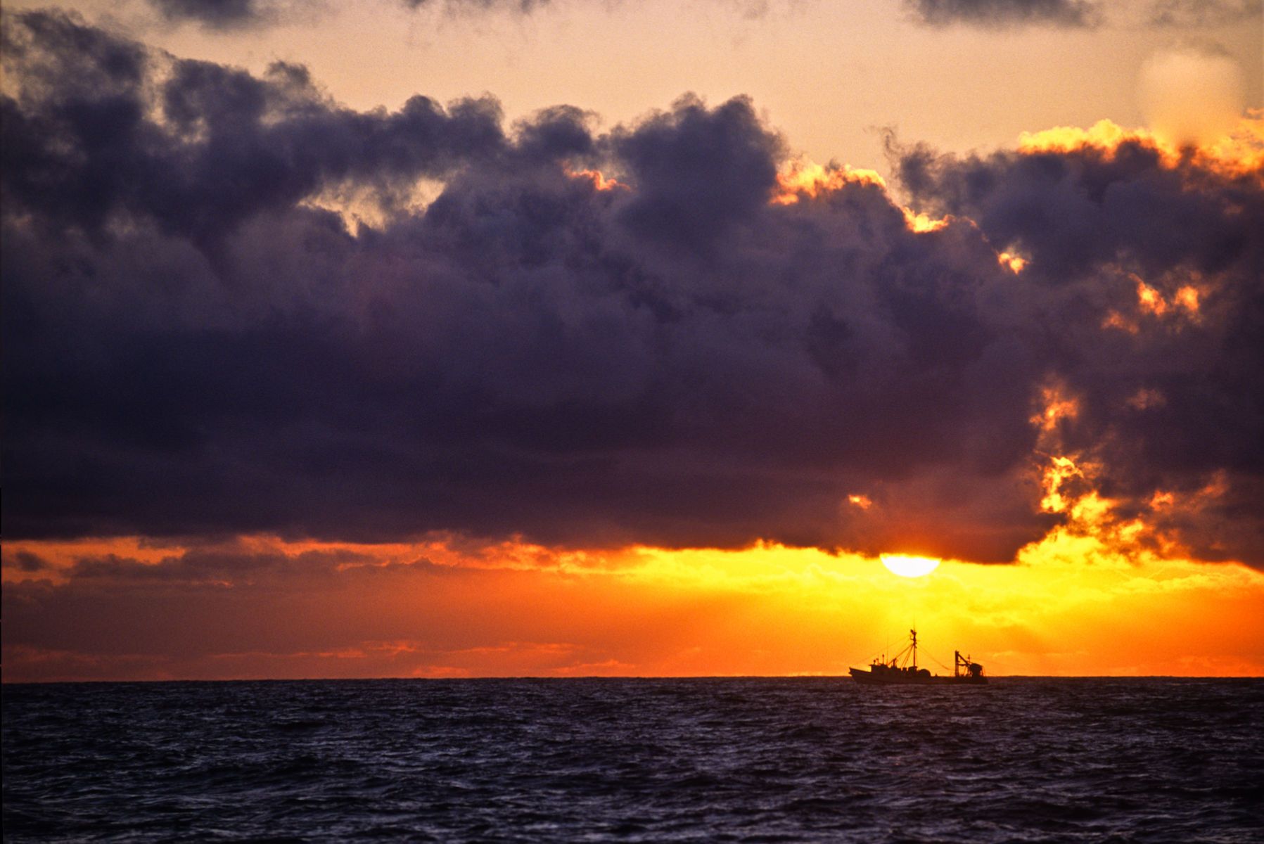 30_0_294_1ship_and_sunset_horizontal_1.jpg