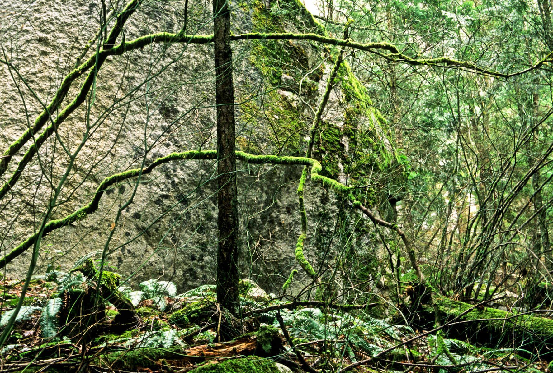 1squamish_boulders.jpg