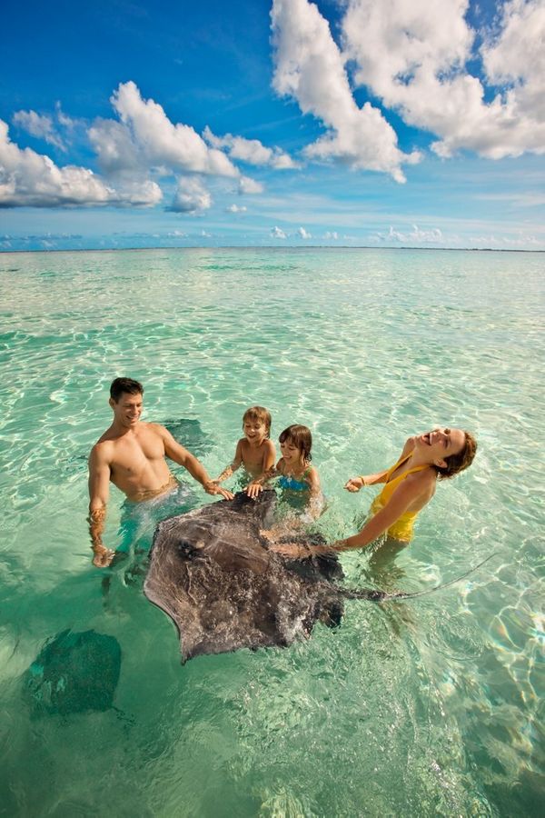 1epi_09015_stingray_01_0575_w2_1
