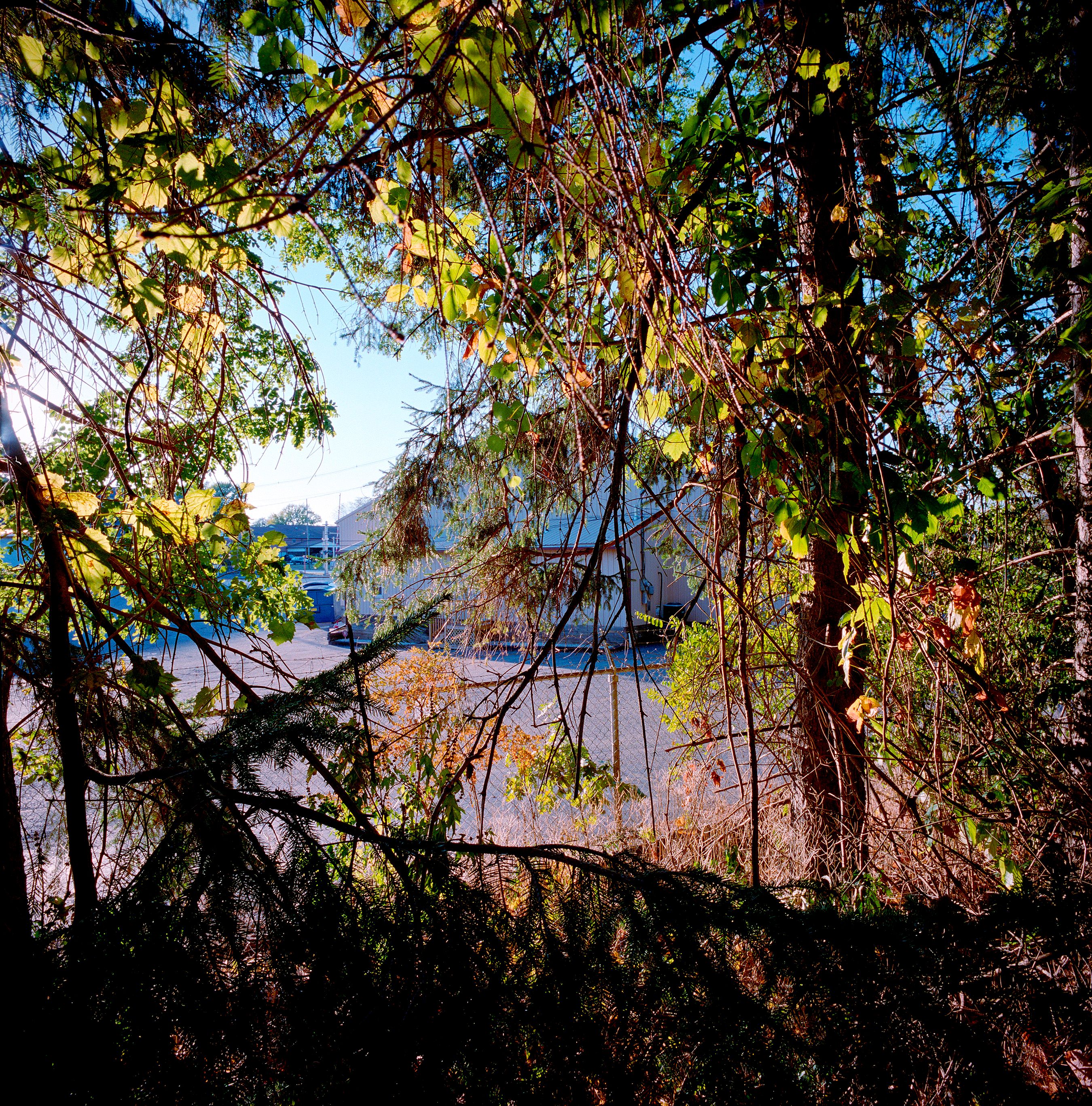  093017 Untitled 2017