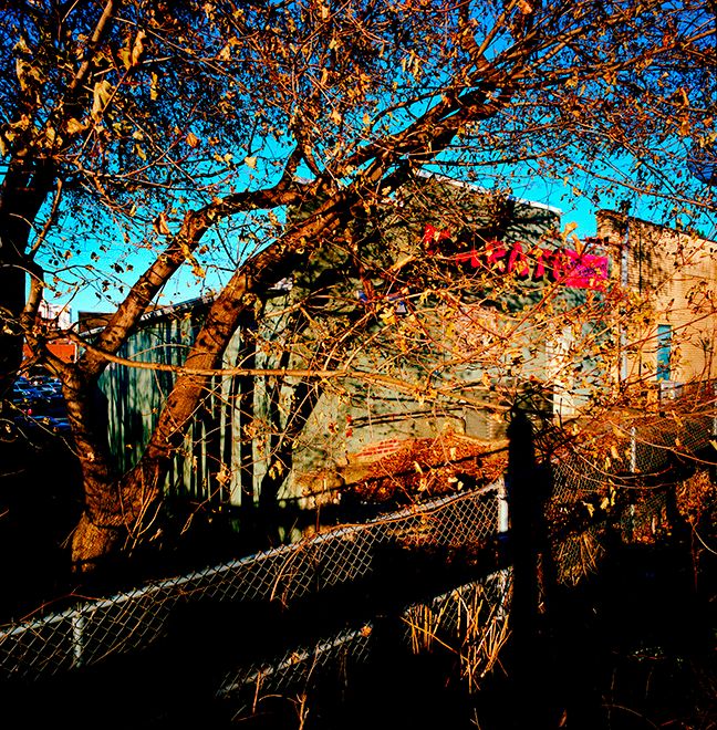 112917 Untitled 2017