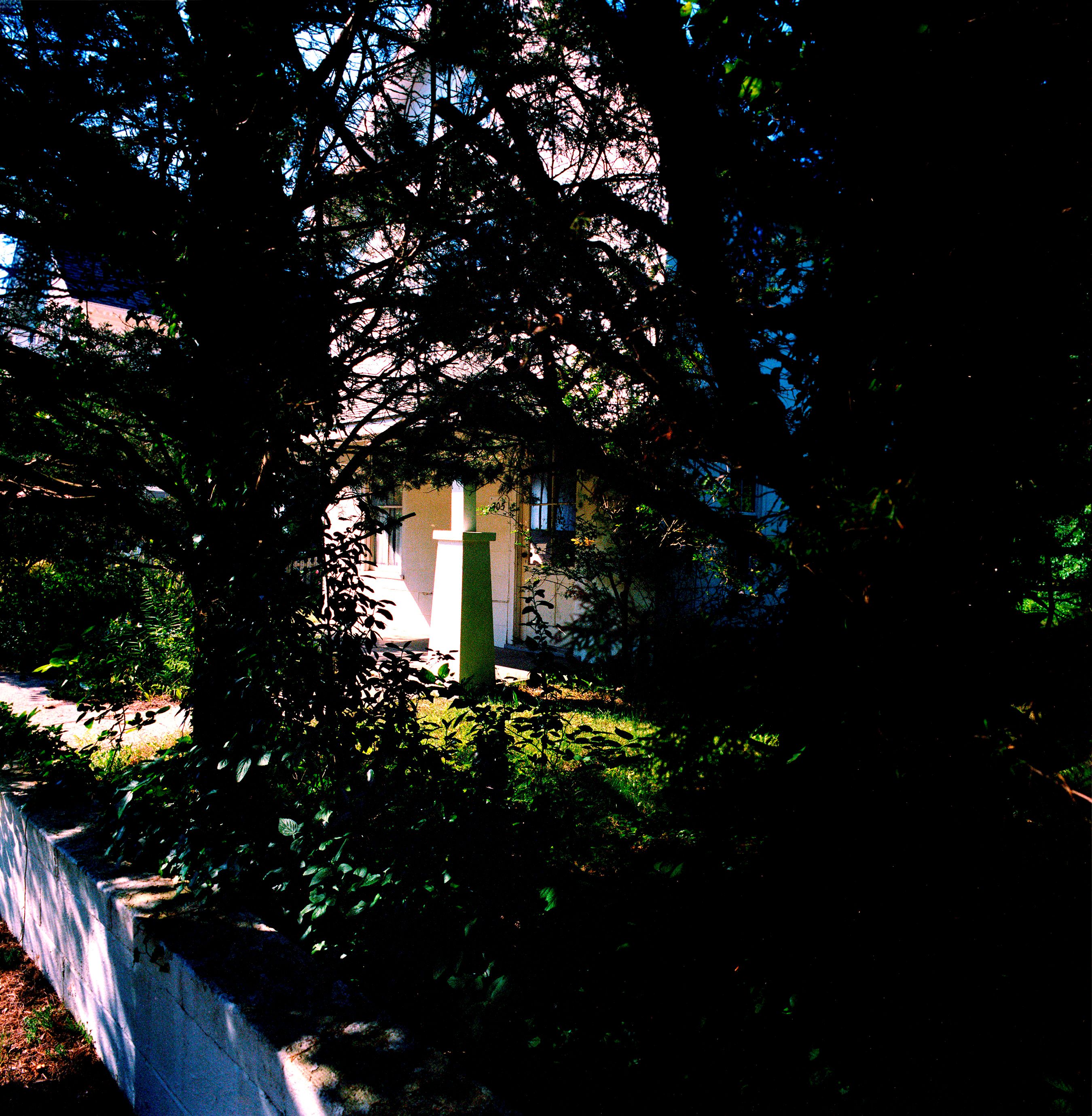  061517  White Column: 2017