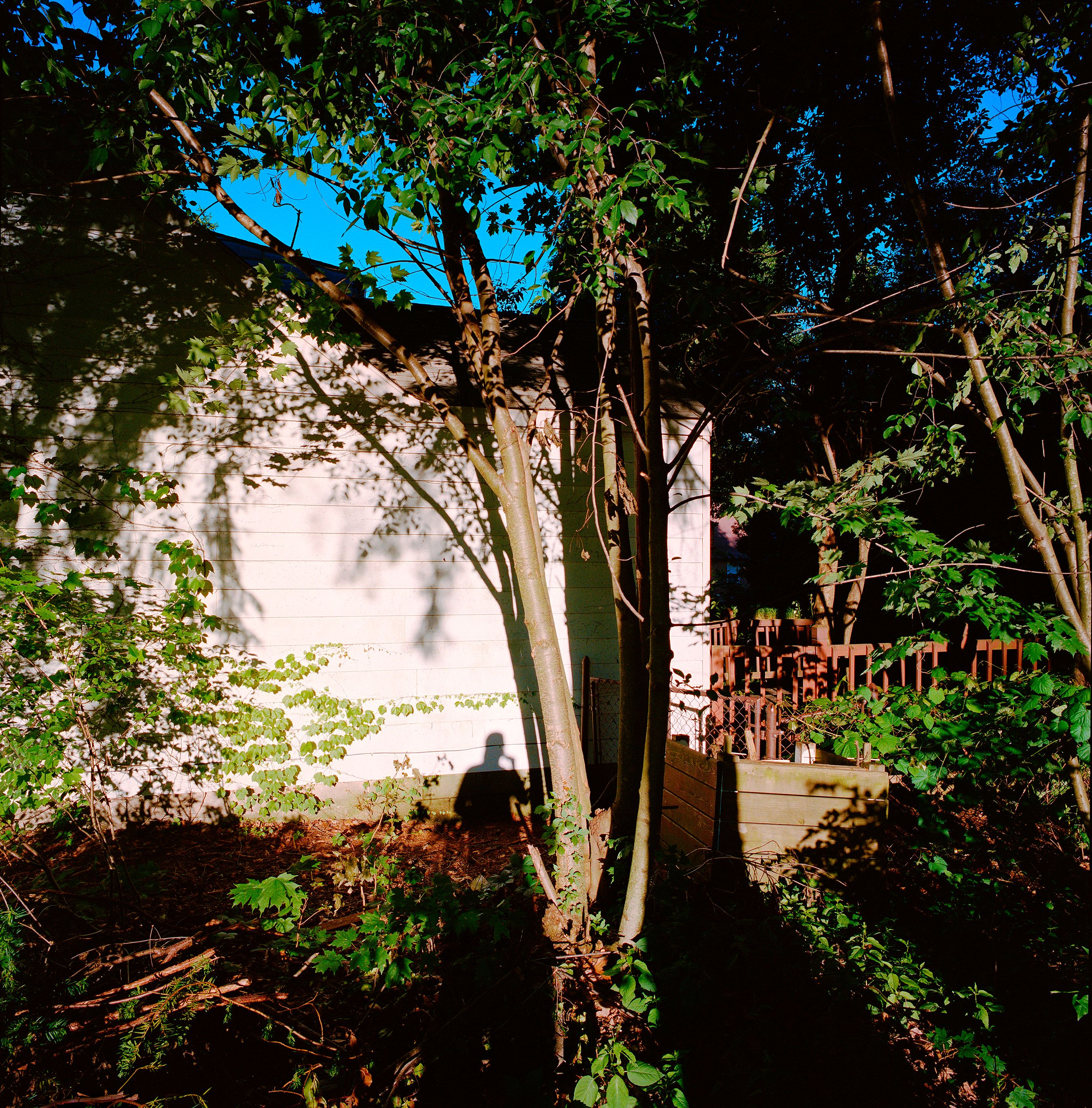 062415 Untitled 2015