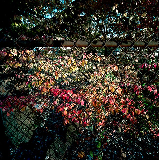 110720 Untitled 2020