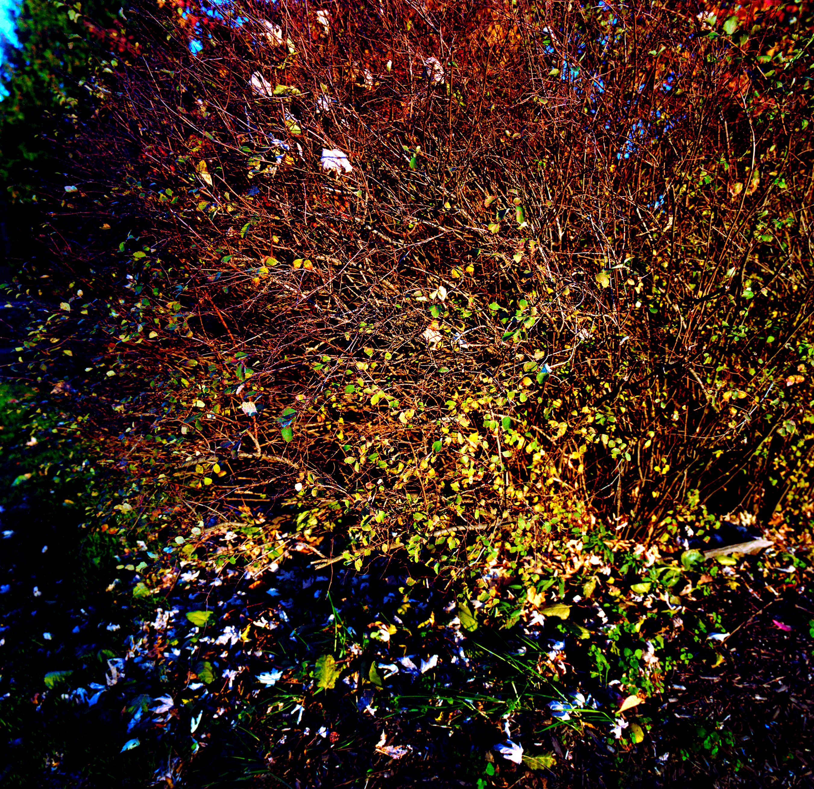 110914 Untitled 2014