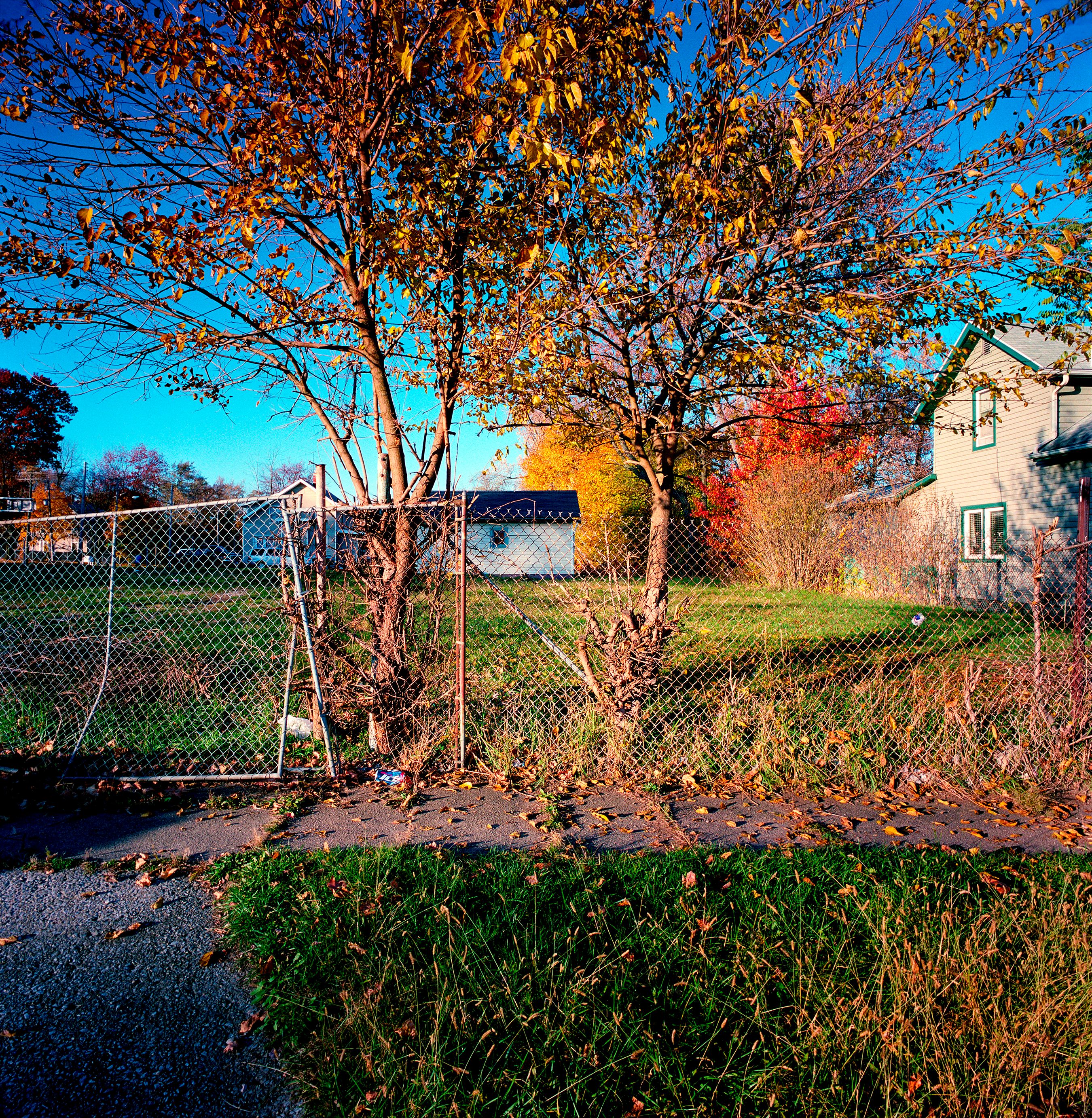 110820 Untitled 2020