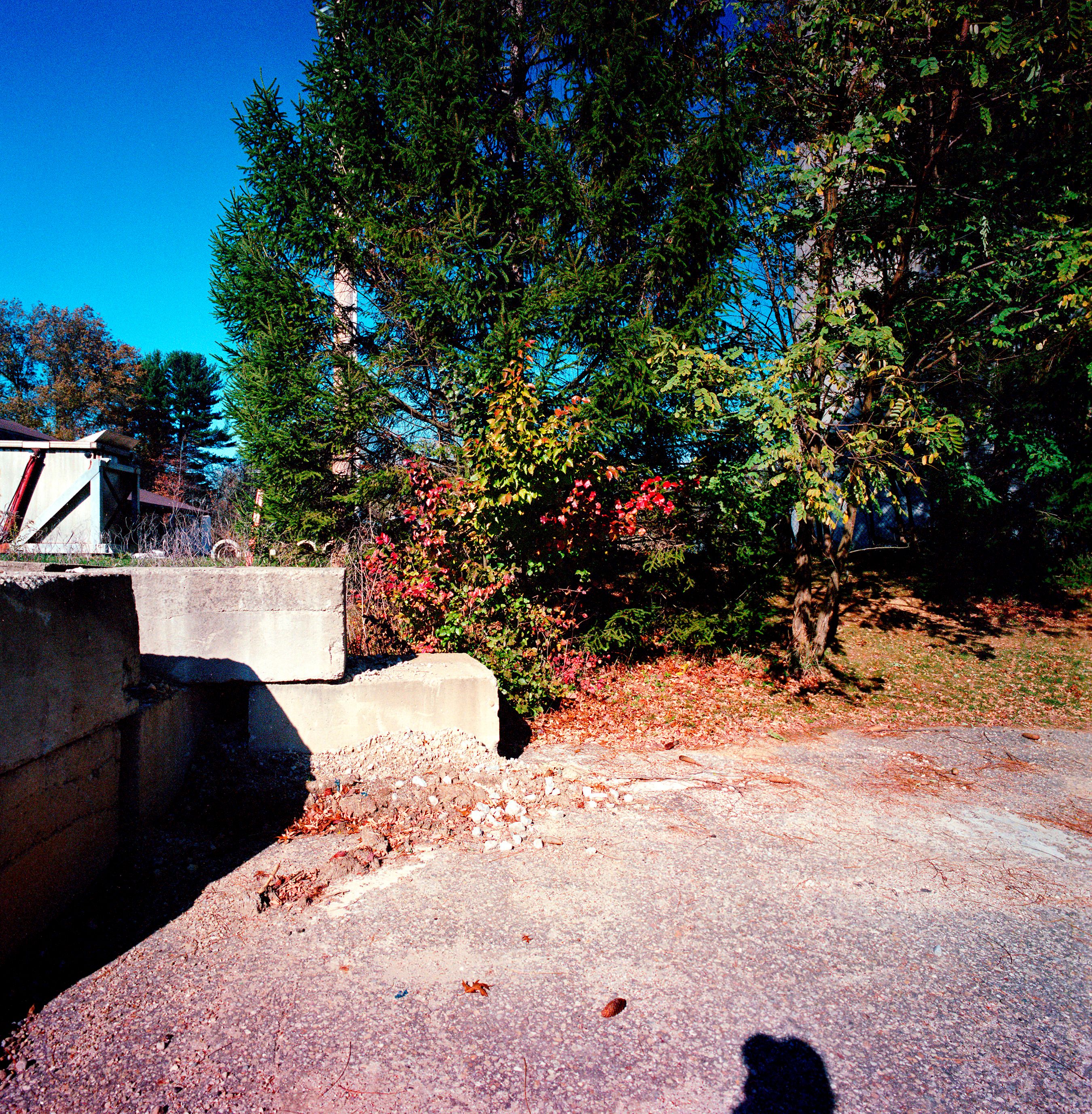 110320 Untitled 2020