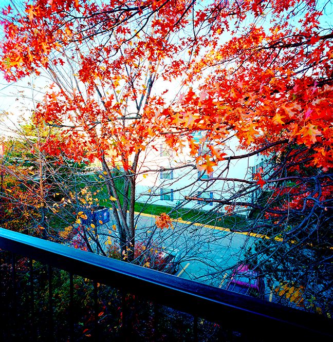 061015  Untitled 2015