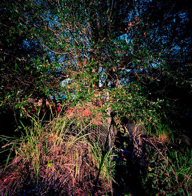 122822 Untitled 2022