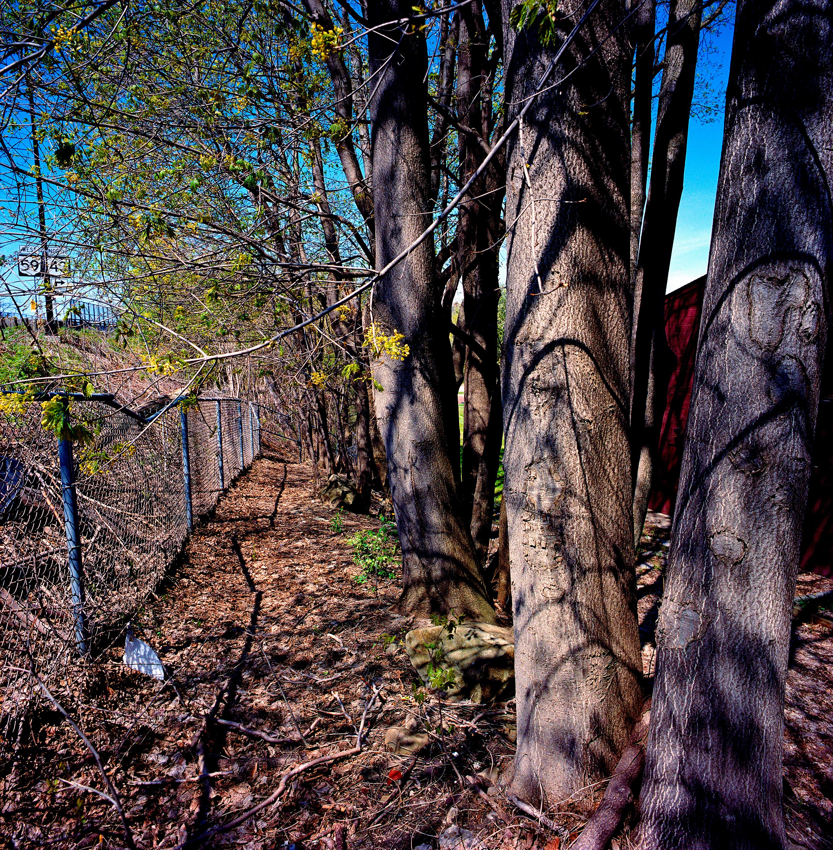 031816 Untitled 2016