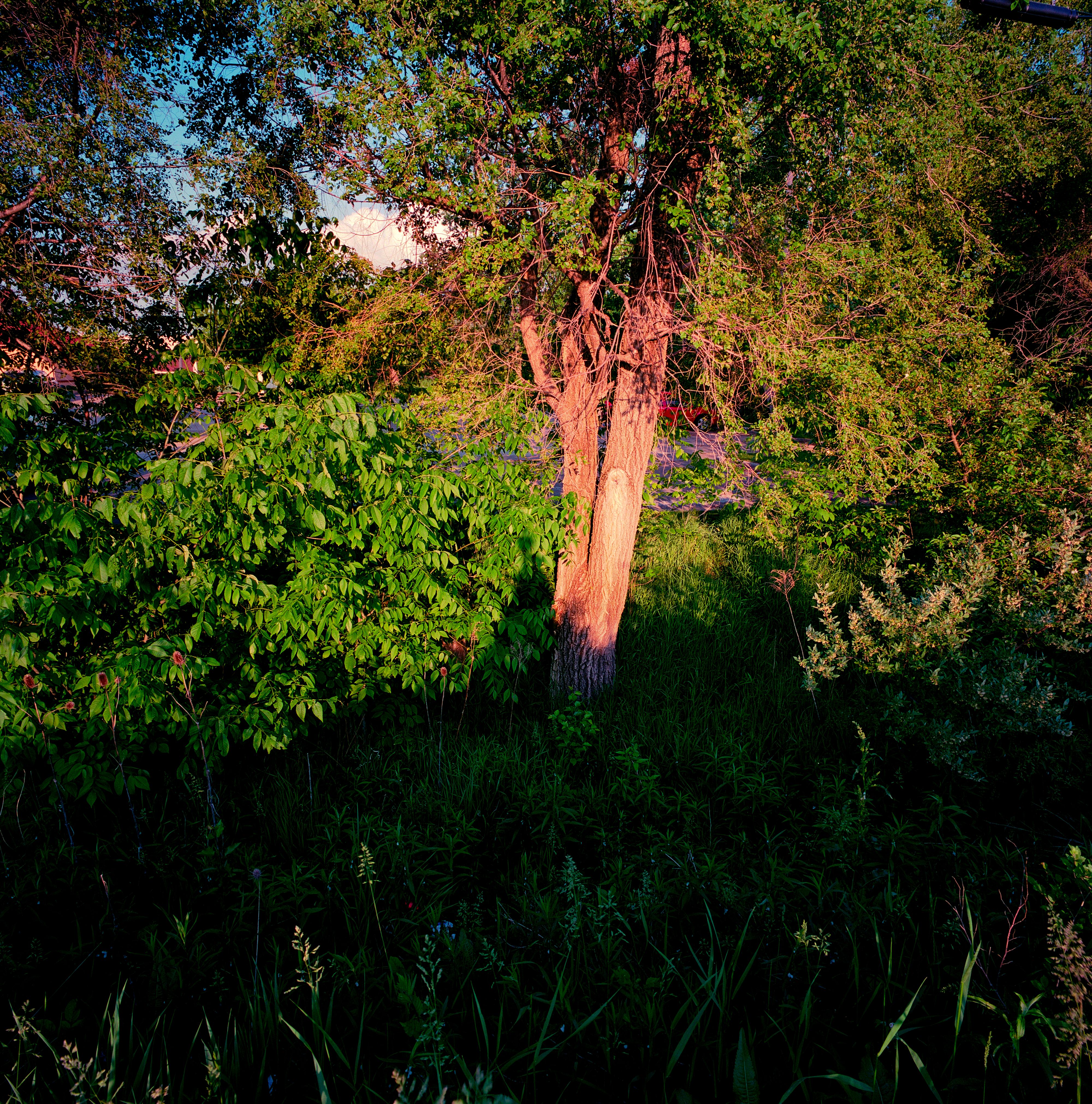 050613 Untitled 2013