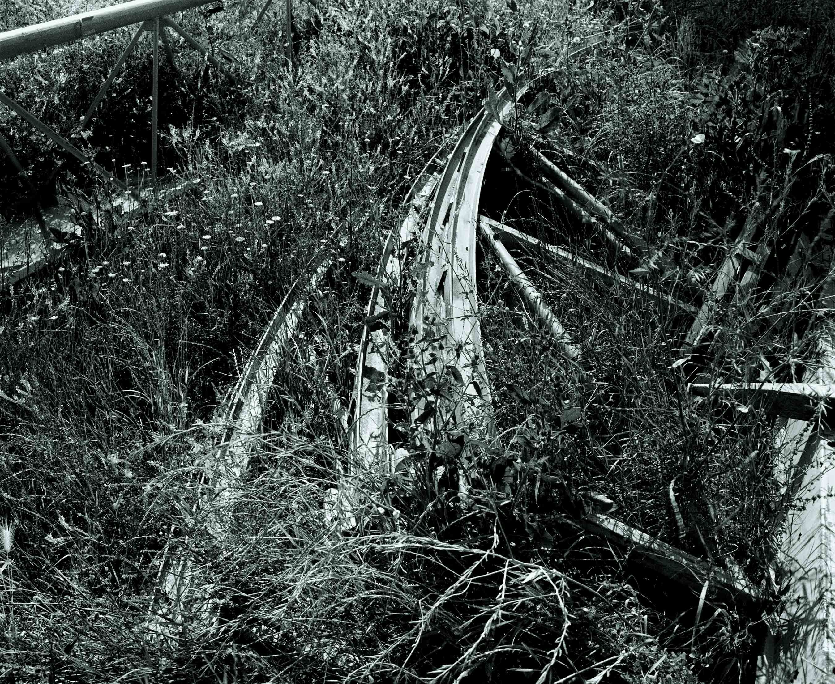 061001 Untitled:  2001