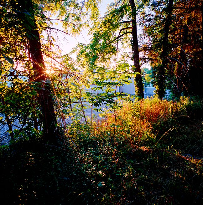 091317 Untitled 2015