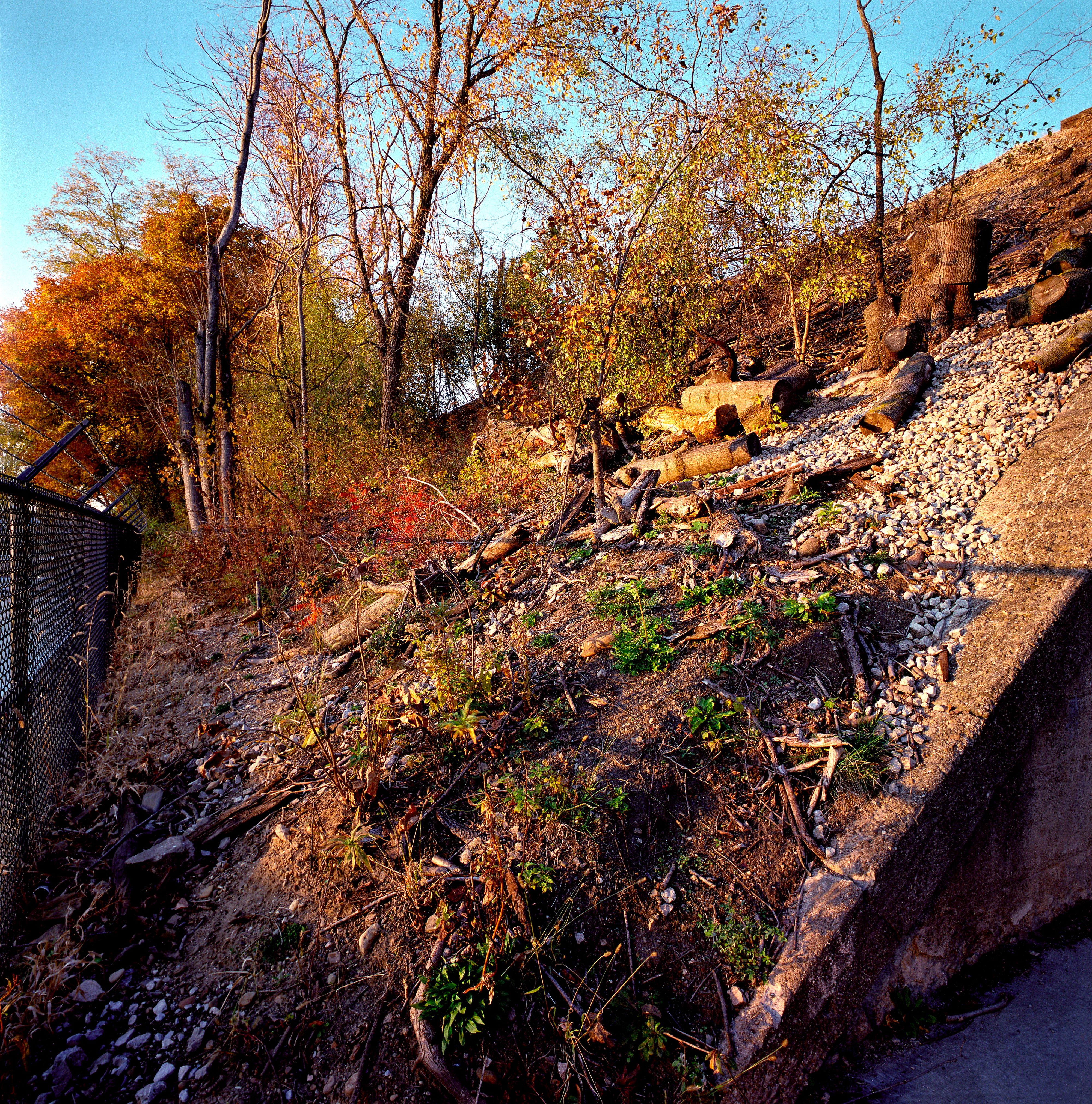 110820 Untitled 2020