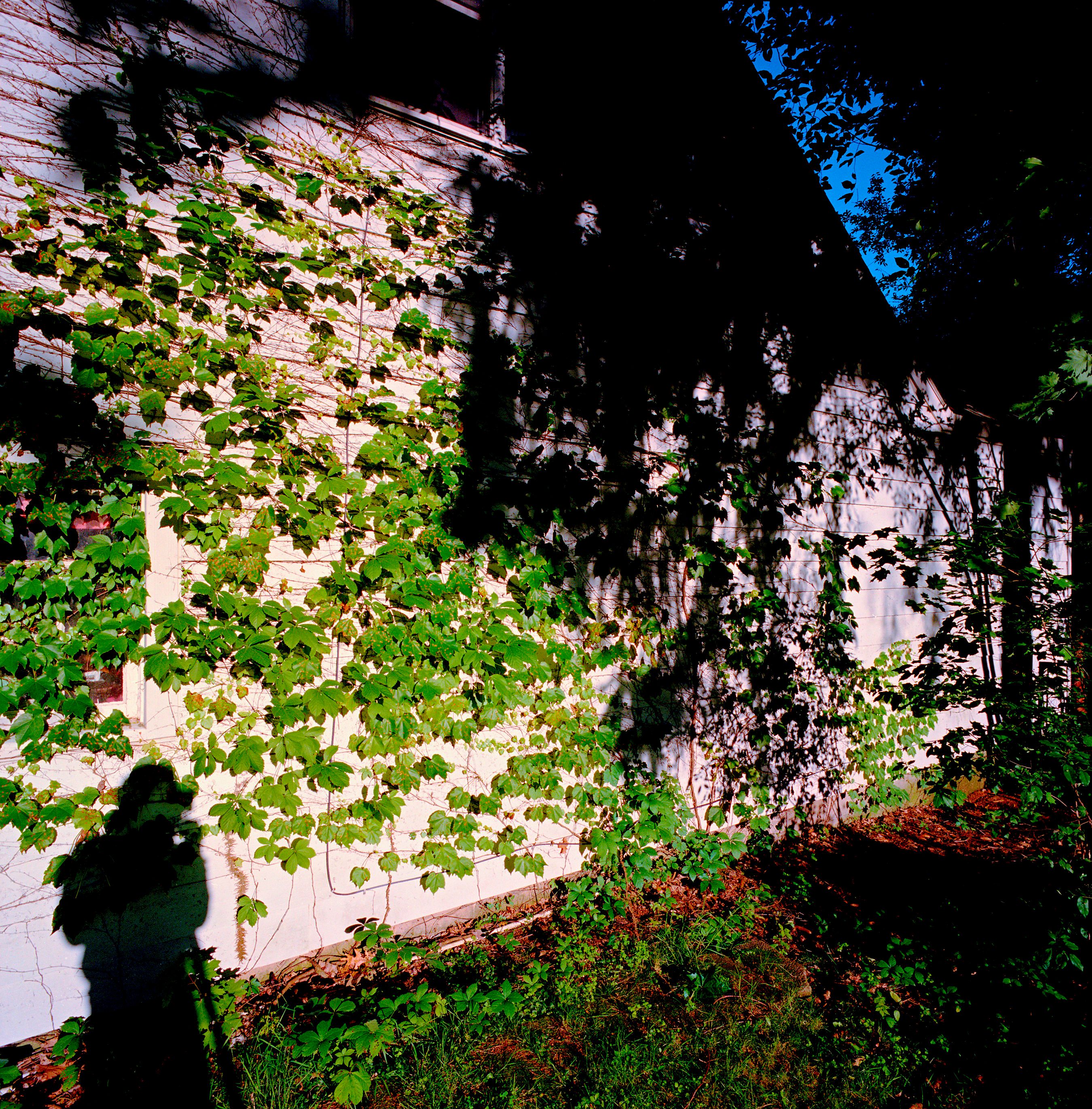 062415 Untitled 2015