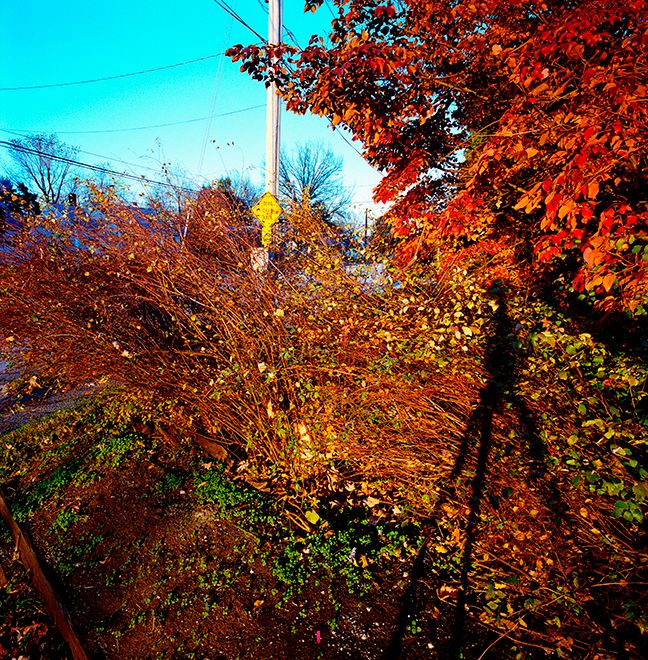 041716 Deaf Child Area  2015