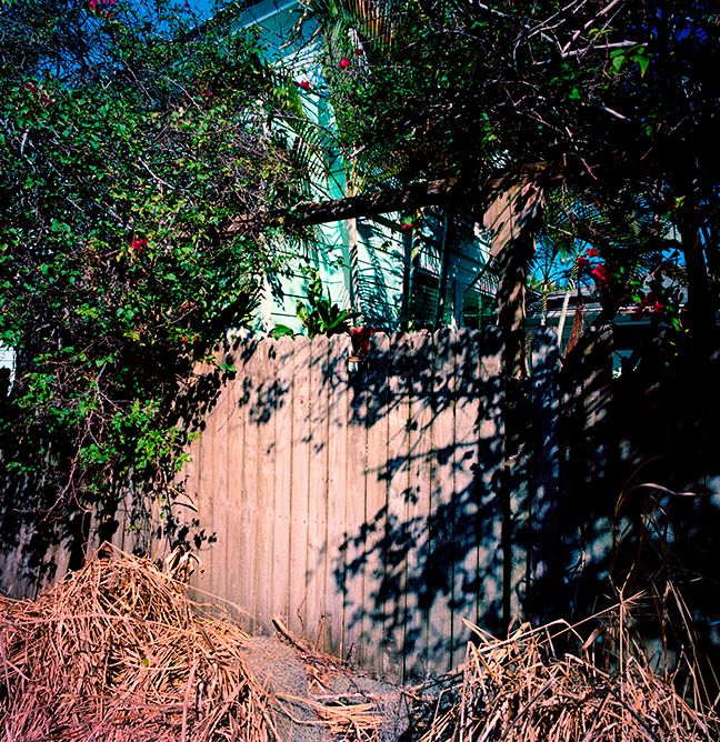 011223 Untitled 2023