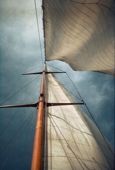 1sail_web_RESD_WEB_FINAL_____FINAL_SIZE_FOR_WEB_FINAL.jpg