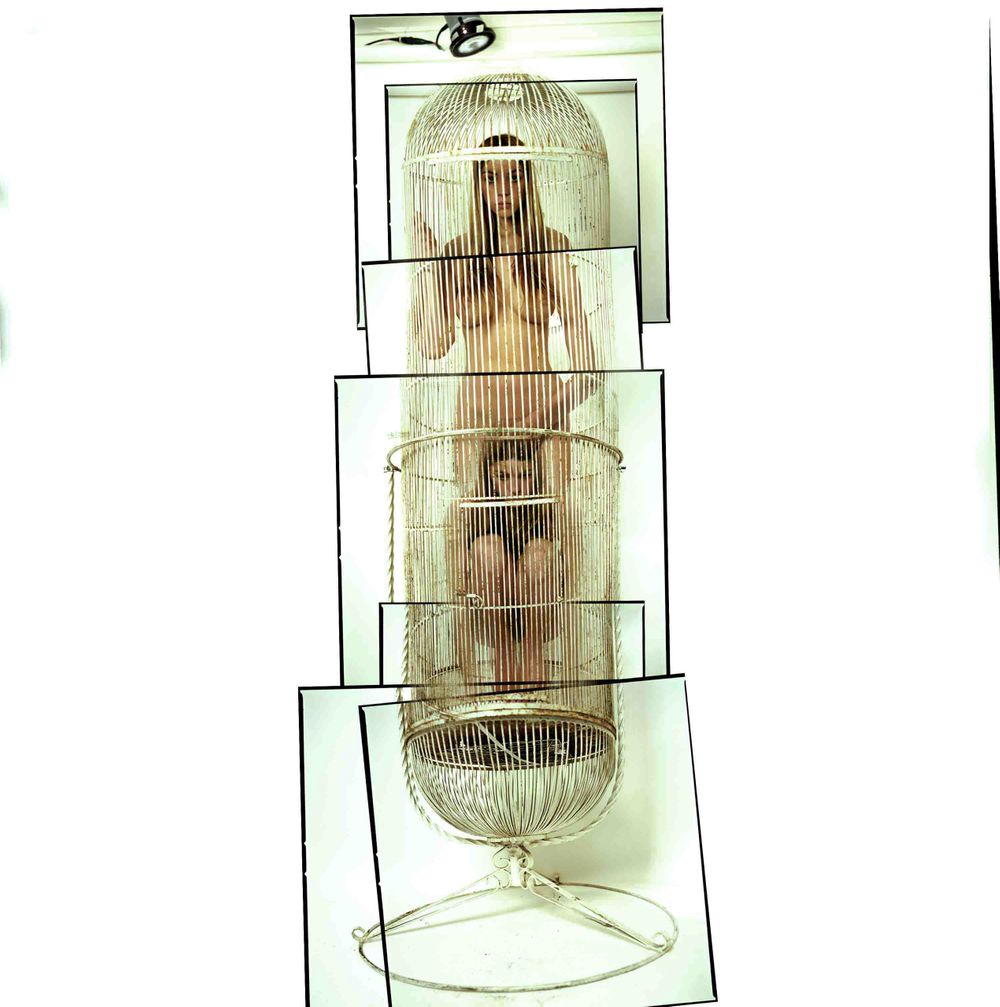 Bird_Cage.jpg