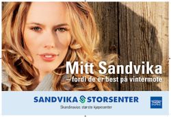 Sandvika Storsenter.jpg