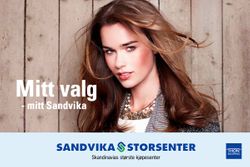 Sandvika Storsenter.jpg