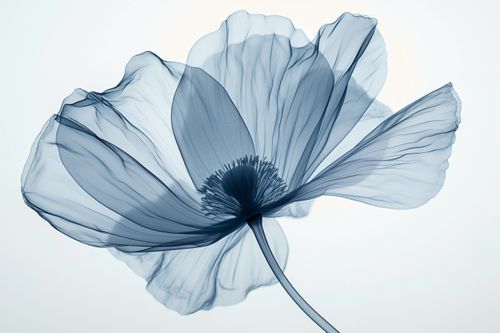 AdobeStock_825266855.jpeg